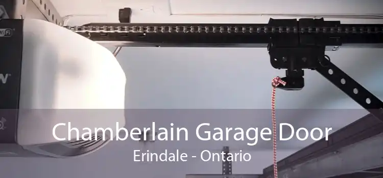 Chamberlain Garage Door Erindale - Ontario