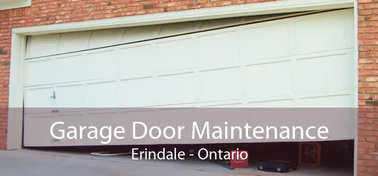 Garage Door Maintenance Erindale - Ontario