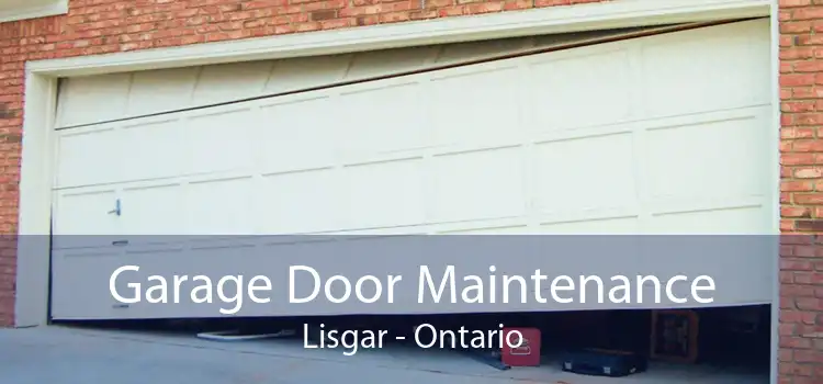 Garage Door Maintenance Lisgar - Ontario
