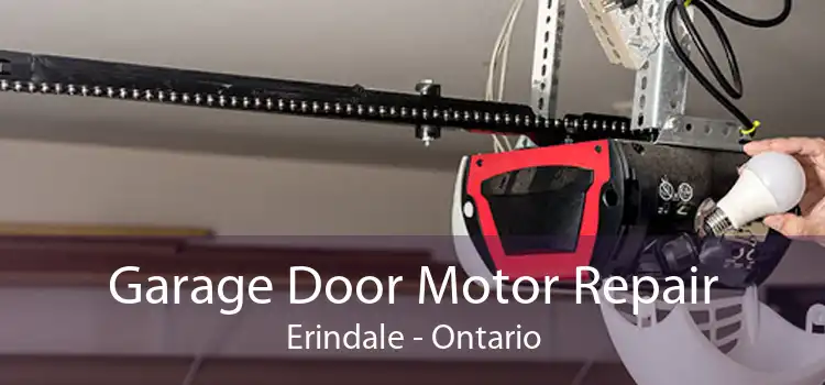 Garage Door Motor Repair Erindale - Ontario