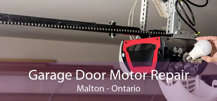 Garage Door Motor Repair Malton - Ontario