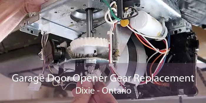 Garage Door Opener Gear Replacement Dixie - Ontario