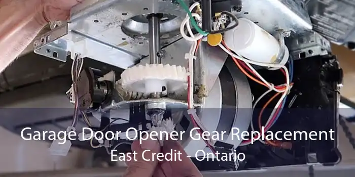 Garage Door Opener Gear Replacement East Credit - Ontario