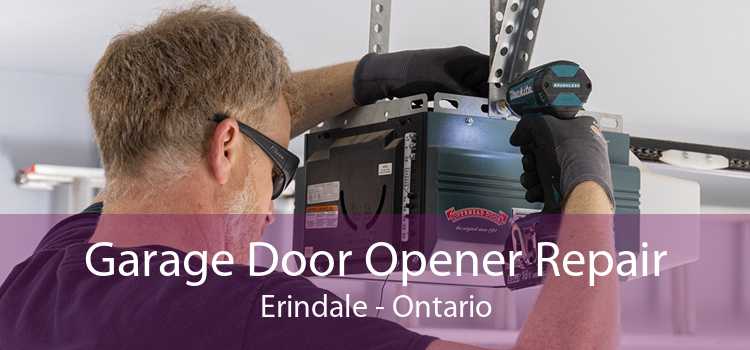 Garage Door Opener Repair Erindale - Ontario