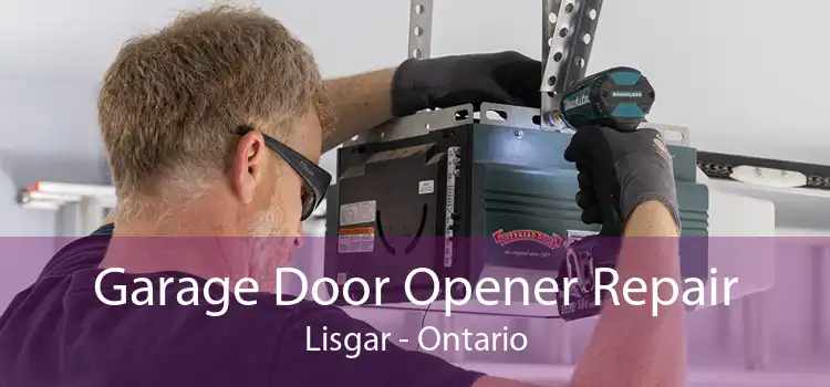Garage Door Opener Repair Lisgar - Ontario