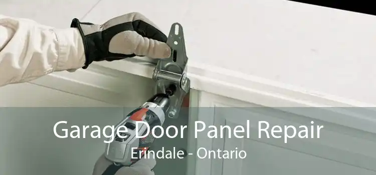Garage Door Panel Repair Erindale - Ontario