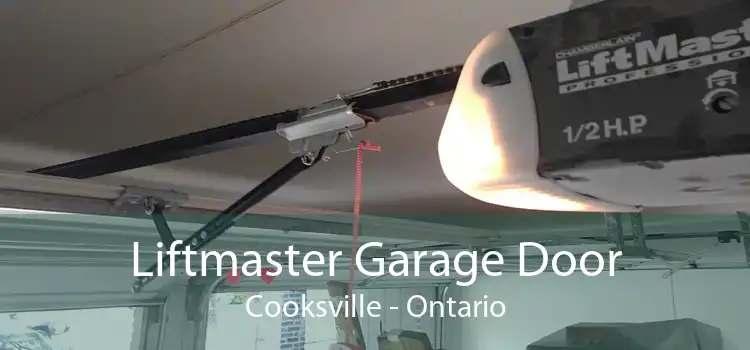 Liftmaster Garage Door Cooksville - Ontario